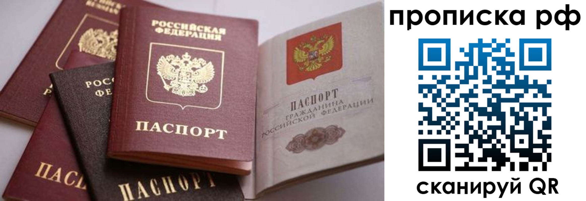 прописка гарантия в Воронеже